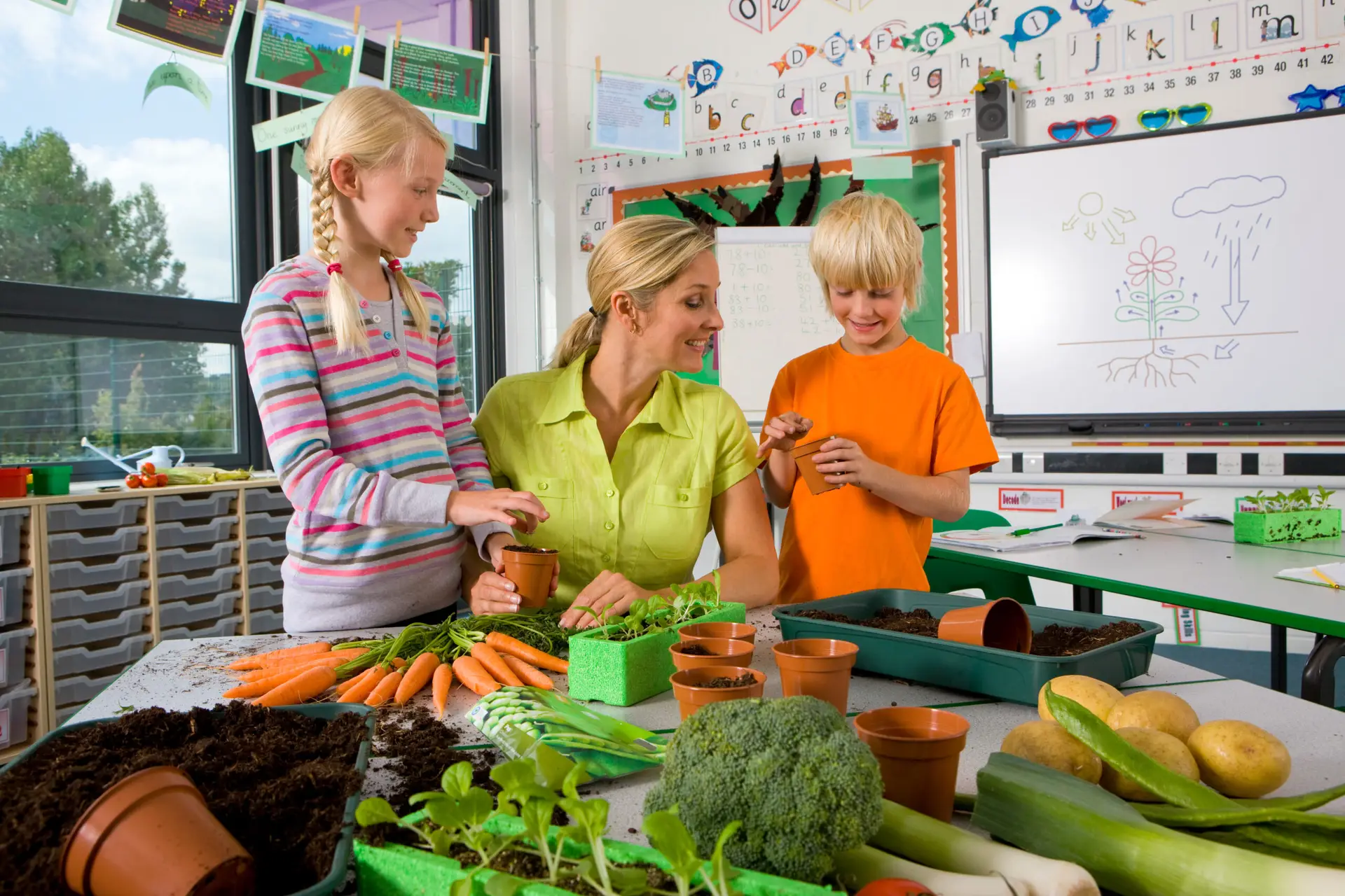 Teacher and two students in a bright classroom work at a table covered with soil, potted plants, and fresh vegetables as they plant seeds.